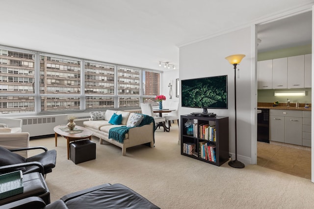 4800 S Chicago Beach Dr Unit 513N, Chicago, IL 60615 - living area featuring radiator, rail lighting, and light carpet