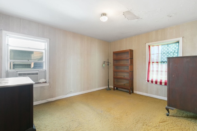 4133 W 99th St, Oak Lawn, IL 60453 - photo 4