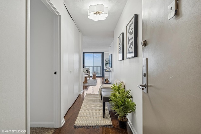3660 N Lake Shore Dr Unit 4502, Chicago, IL 60613 - corridor with wood finished floors and baseboards