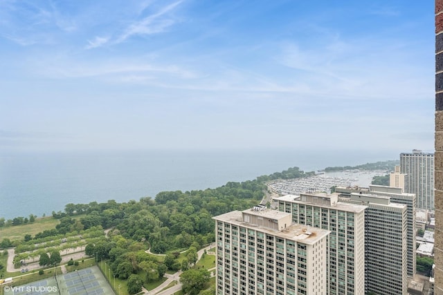 3660 N Lake Shore Dr Unit 4502, Chicago, IL 60613 - view of city featuring a large body of water