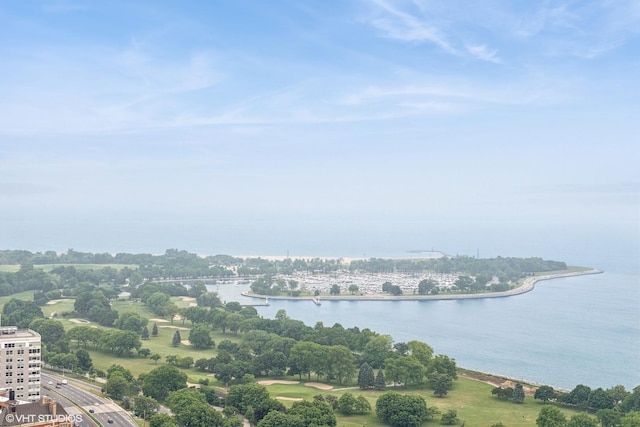 3660 N Lake Shore Dr Unit 4502, Chicago, IL 60613 - water view