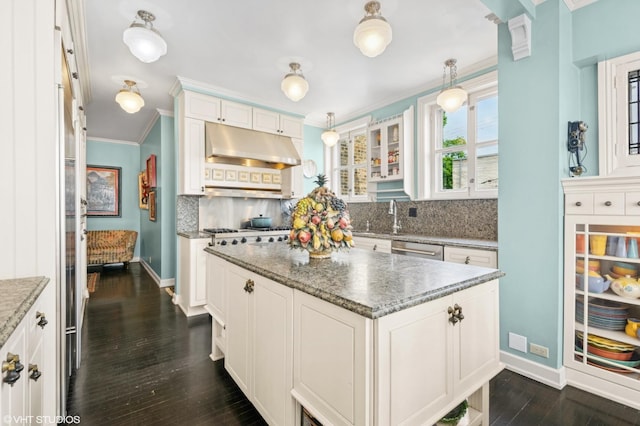 1116 W N Shore Ave Unit 2, Chicago, IL 60626 - kitchen featuring under cabinet range hood, decorative backsplash, dark wood finished floors, crown molding, and stainless steel appliances