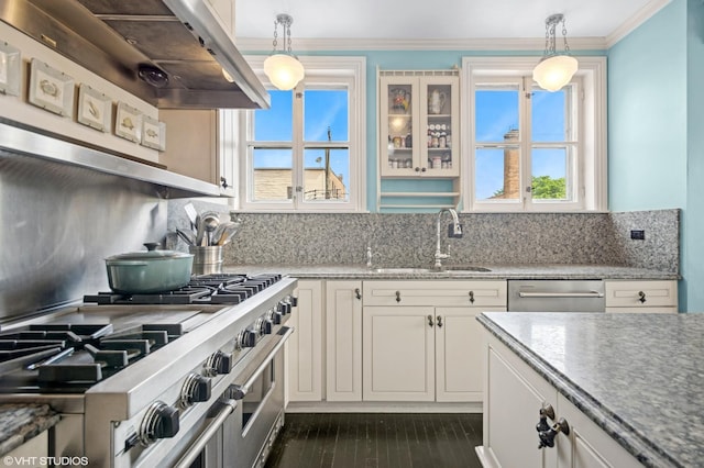 1116 W N Shore Ave Unit 2, Chicago, IL 60626 - kitchen featuring appliances with stainless steel finishes, ventilation hood, tasteful backsplash, plenty of natural light, and ornamental molding