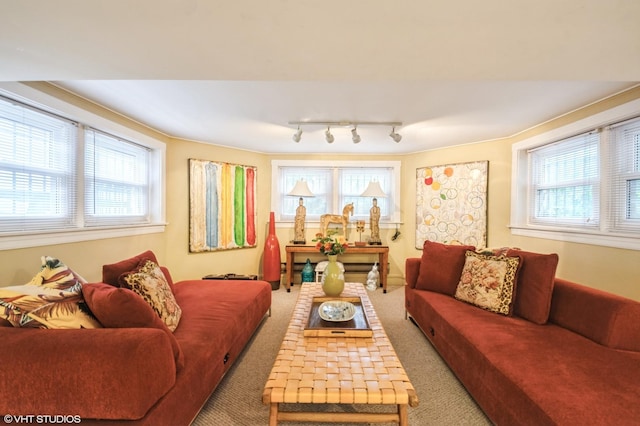 1116 W N Shore Ave Unit 2, Chicago, IL 60626 - carpeted living room with healthy amount of natural light