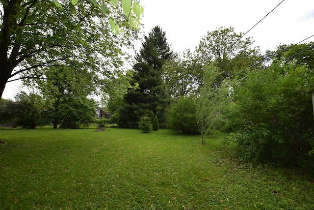 1116 Oakleaf Ave, Mchenry, IL 60051 - view of green lawn