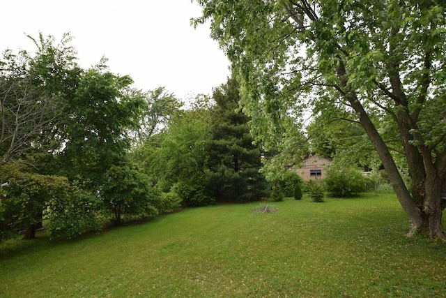 1116 Oakleaf Ave, Mchenry, IL 60051 - view of green lawn