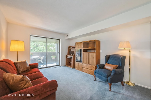 1295 N Sterling Ave Unit 211, Palatine, IL 60067 - view of carpeted living area