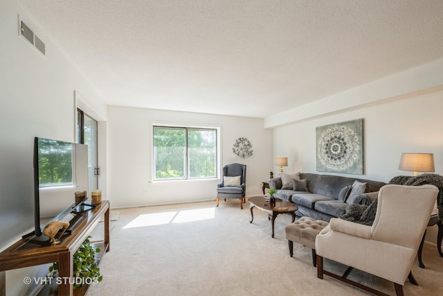 1295 N Sterling Ave Unit 211, Palatine, IL 60067 - living room with light colored carpet and a textured ceiling