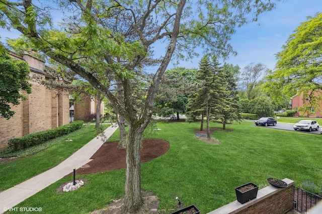 340 Claymoor Rd Unit 2B, Hinsdale, IL 60521 - view of green lawn