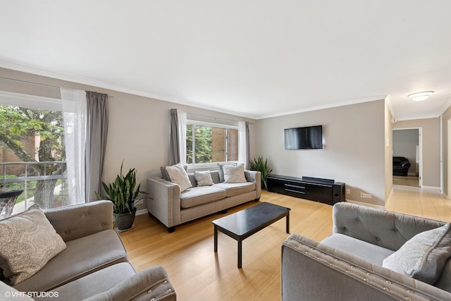 340 Claymoor Rd Unit 2B, Hinsdale, IL 60521 - living room featuring ornamental molding and light wood-type flooring