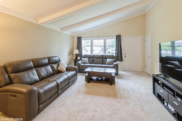 566 W Babcock Ave, Elmhurst, IL 60126 - photo 3