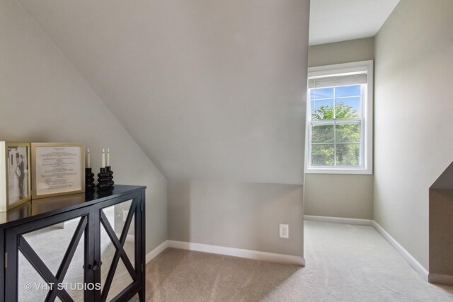 38W542 Mcquire Pl, Geneva, IL 60134 - photo 25