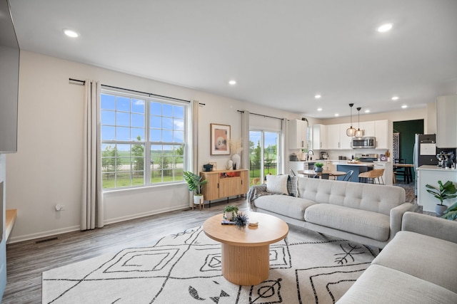 1462 Keller St, Elburn, IL 60119 - living room featuring recessed lighting and light wood-style flooring