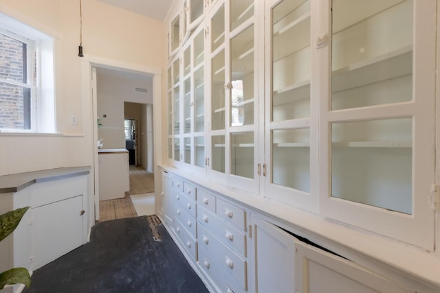 668 W Irving Park Rd Unit H1, Chicago, IL 60613 - view of hallway
