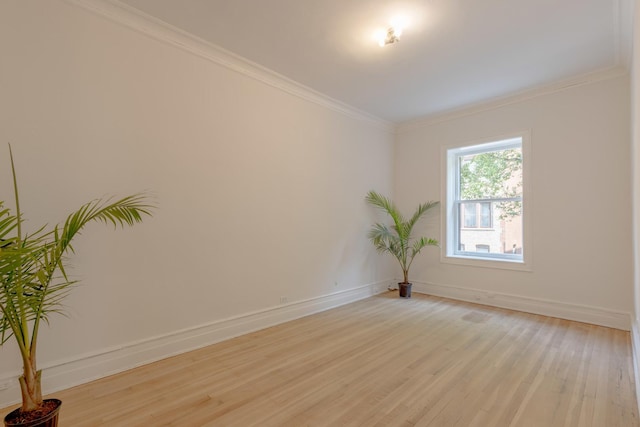 668 W Irving Park Rd Unit H1, Chicago, IL 60613 - spare room with crown molding and light wood-style floors