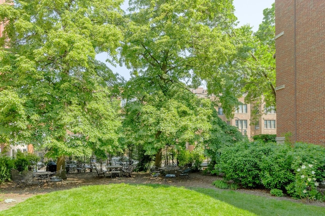 668 W Irving Park Rd Unit H1, Chicago, IL 60613 - view of green lawn