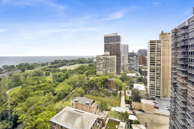 3100 N Lake Shore Dr Unit 413, Chicago, IL 60657 - city view