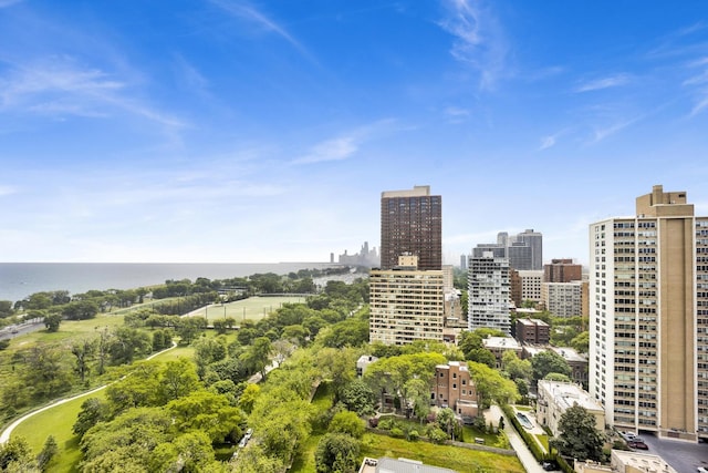 3100 N Lake Shore Dr Unit 413, Chicago, IL 60657 - city view featuring a nearby body of water and a tree filled landscape