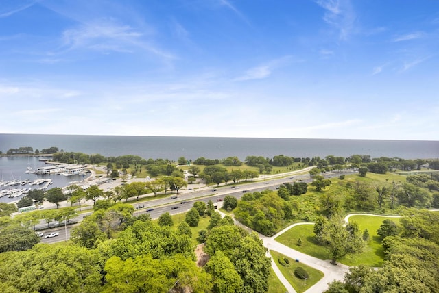 3100 N Lake Shore Dr Unit 413, Chicago, IL 60657 - aerial view of a large body of water and a tree filled landscape