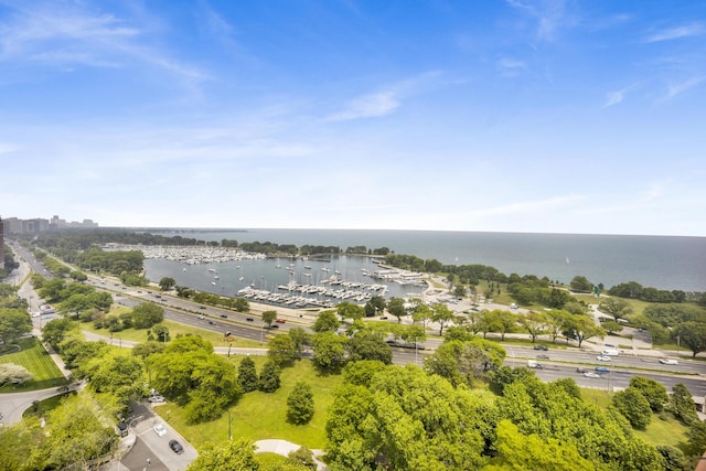 3100 N Lake Shore Dr Unit 413, Chicago, IL 60657 - aerial view of a large body of water and numerous boat docks