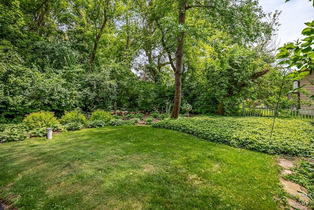 10405 Kenilworth Ave, Algonquin, IL 60102 - view of grassy yard