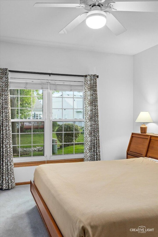 1909 Lakeside Dr, Montgomery, IL 60538 - bedroom featuring carpet floors and a ceiling fan