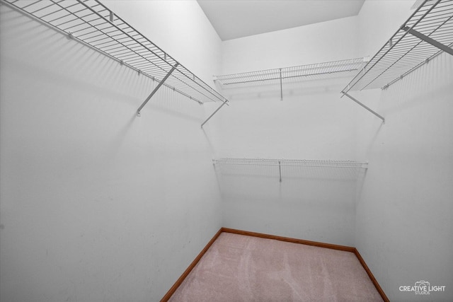 1909 Lakeside Dr, Montgomery, IL 60538 - spacious closet featuring carpet floors