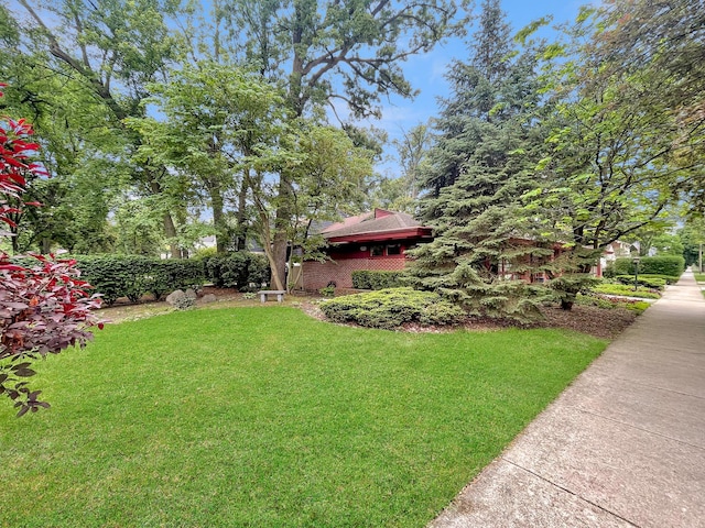 1020 S Knight Ave, Park Ridge, IL 60068 - view of grassy yard