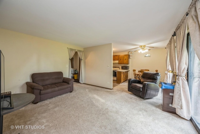 4436 Arbor Cir Unit 4, Downers Grove, IL 60515 - living area featuring light carpet and a ceiling fan
