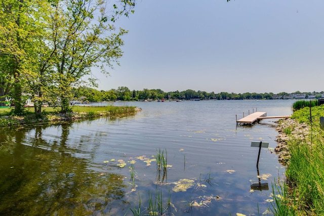 908 Jackson Ave, Wauconda, IL 60084 - water view with a boat dock