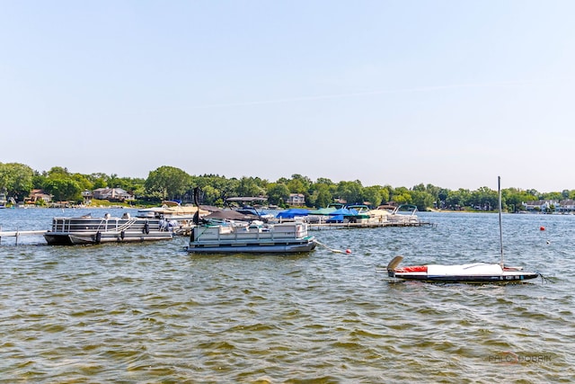 908 Jackson Ave, Wauconda, IL 60084 - dock with a water view