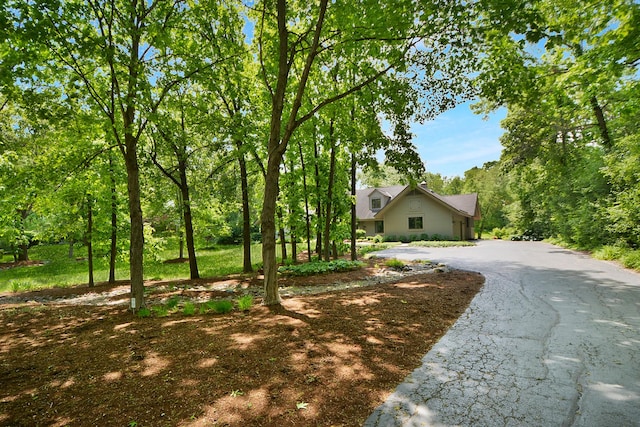 24 Robin Crest Rd, Hawthorn Woods, IL 60047 - view of front facade with asphalt driveway