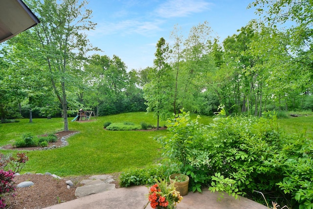 24 Robin Crest Rd, Hawthorn Woods, IL 60047 - view of green lawn featuring a playground