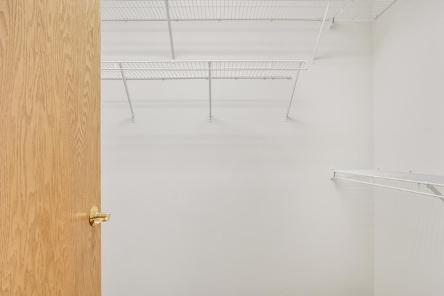 34405 N Bobolink Trl, Grayslake, IL 60030 - view of spacious closet