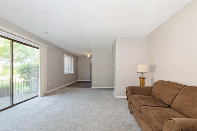 4831 W 109th St Unit 101, Oak Lawn, IL 60453 - carpeted living area featuring baseboards