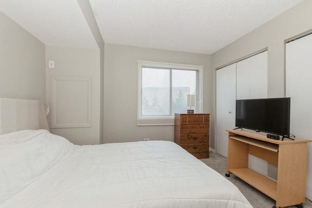 4831 W 109th St Unit 101, Oak Lawn, IL 60453 - bedroom with multiple closets