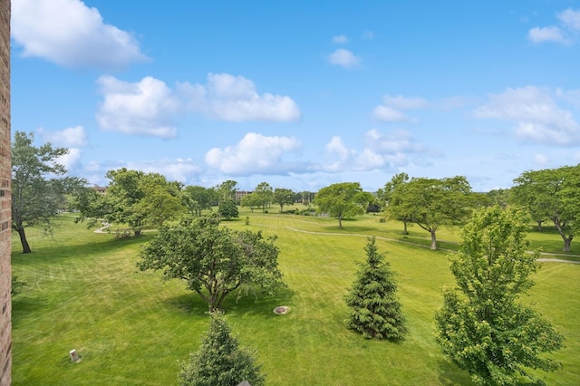 1740 Mission Hills Rd Unit 304, Northbrook, IL 60062 - bird's eye view of a tree filled landscape
