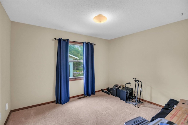3204 Fawn Hill Ct, Urbana, IL 61802 - workout area with carpet flooring and a textured ceiling
