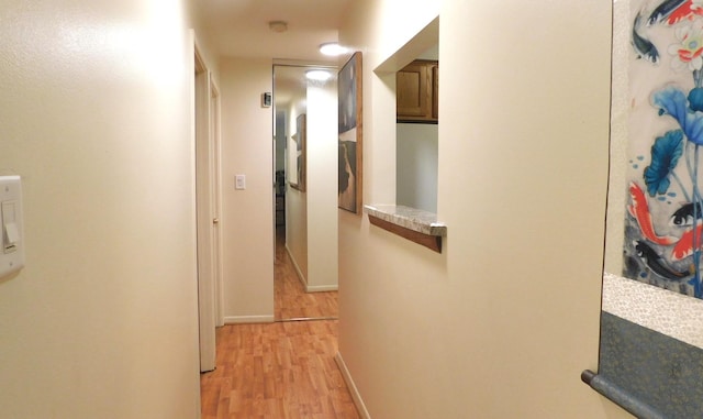 9740 S Pulaski Rd Unit 107, Oak Lawn, IL 60453 - hallway featuring light wood finished floors and baseboards