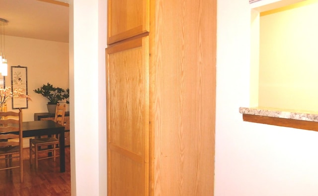 9740 S Pulaski Rd Unit 107, Oak Lawn, IL 60453 - corridor with dark wood-style floors