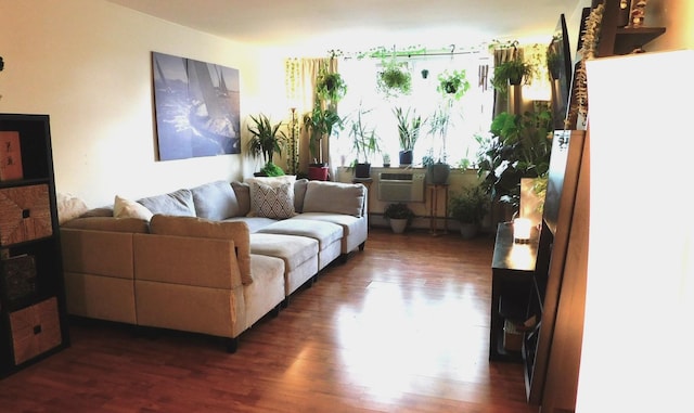 9740 S Pulaski Rd Unit 107, Oak Lawn, IL 60453 - living area featuring dark wood-style floors