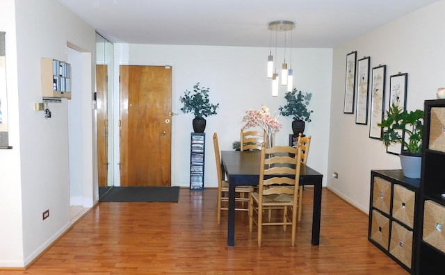 9740 S Pulaski Rd Unit 107, Oak Lawn, IL 60453 - dining space featuring wood finished floors and baseboards