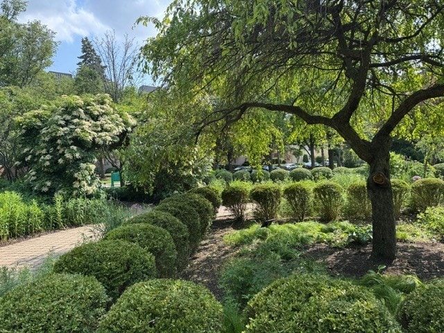 825 Pearson St Unit 3A, Des Plaines, IL 60016 - surrounding community