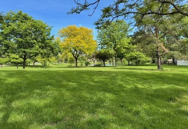 825 Pearson St Unit 3A, Des Plaines, IL 60016 - view of green lawn