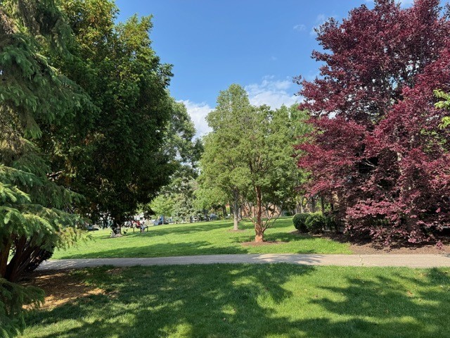 825 Pearson St Unit 3A, Des Plaines, IL 60016 - view of property's community with a yard