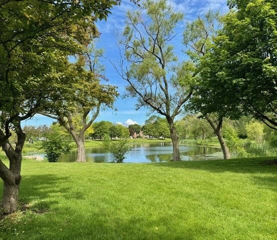 825 Pearson St Unit 3A, Des Plaines, IL 60016 - water view