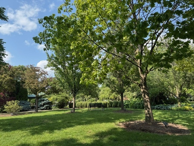 825 Pearson St Unit 3A, Des Plaines, IL 60016 - view of grassy yard
