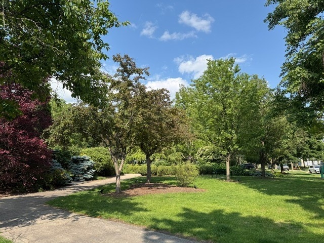 825 Pearson St Unit 3A, Des Plaines, IL 60016 - view of community with a yard
