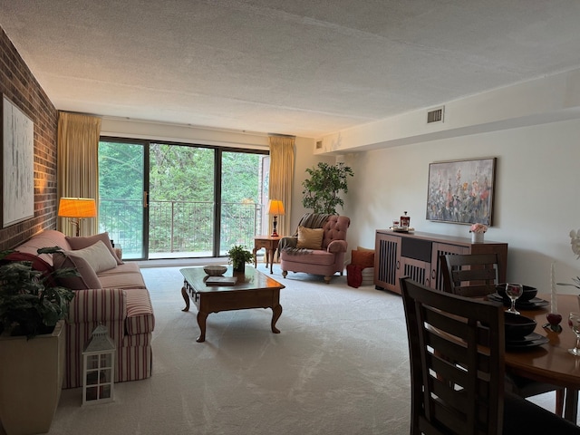 825 Pearson St Unit 3A, Des Plaines, IL 60016 - carpeted living area with a textured ceiling
