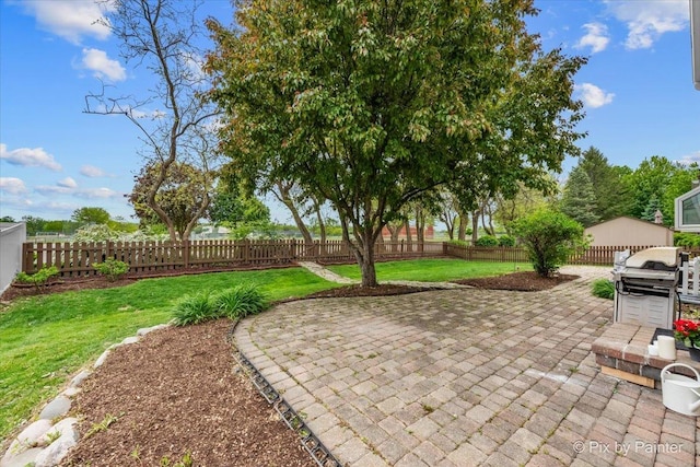 200 Ambria Dr, Mundelein, IL 60060 - fenced backyard featuring a patio area and grilling area